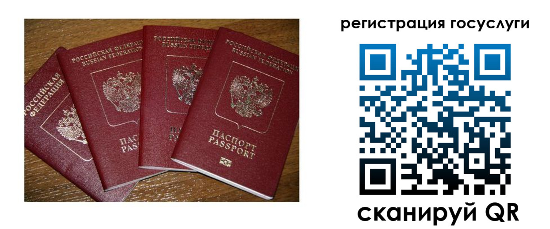 временная регистрация гарантия в Кингисеппе