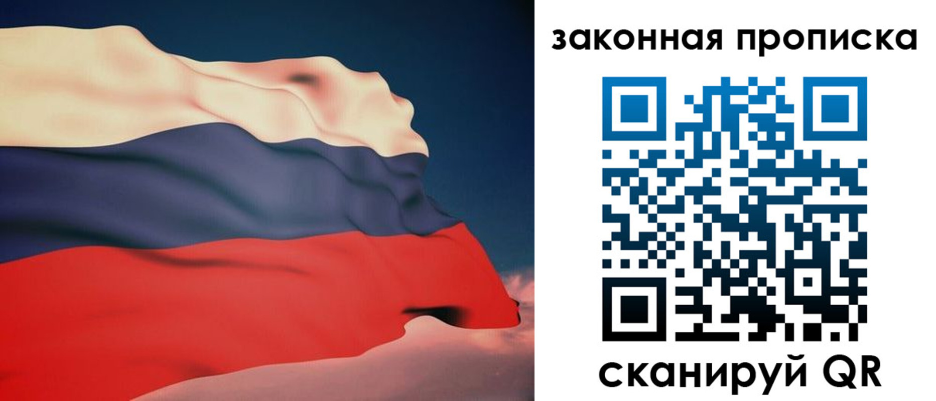 прописка законно в Кингисеппе
