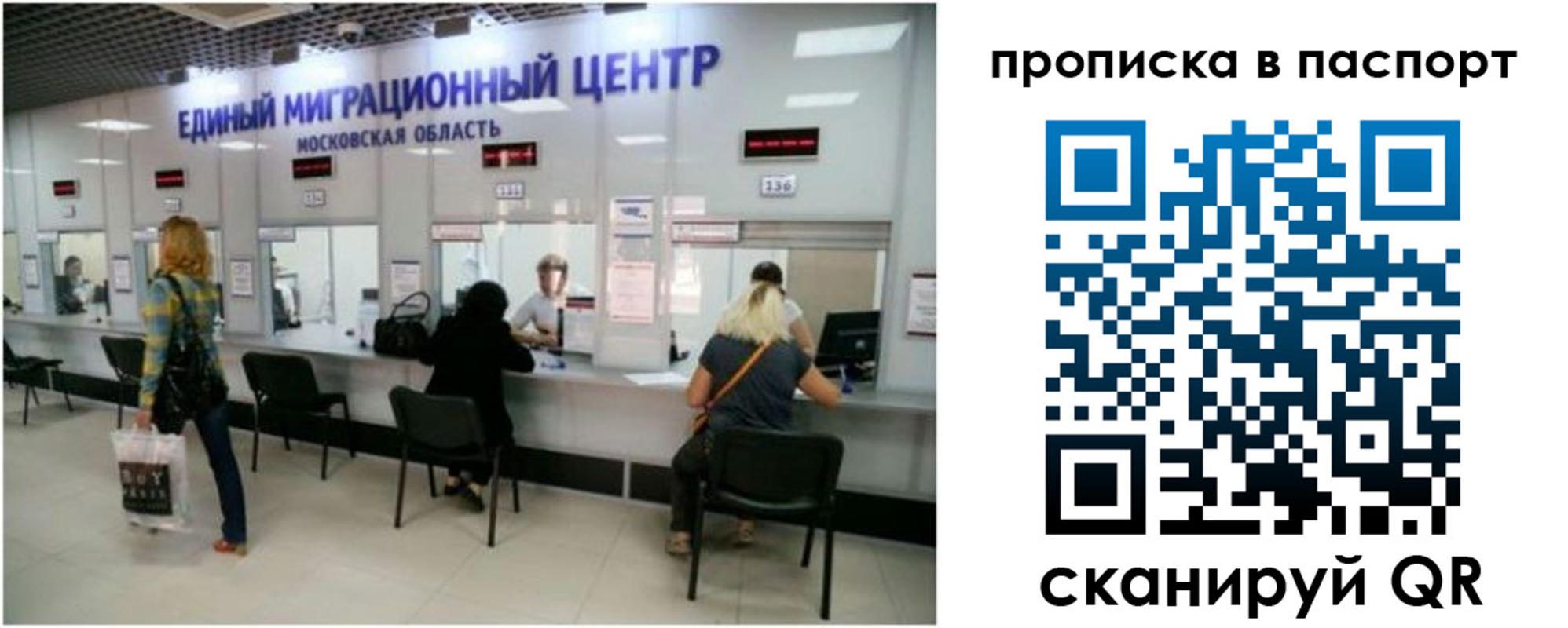 прописка в Кингисеппе